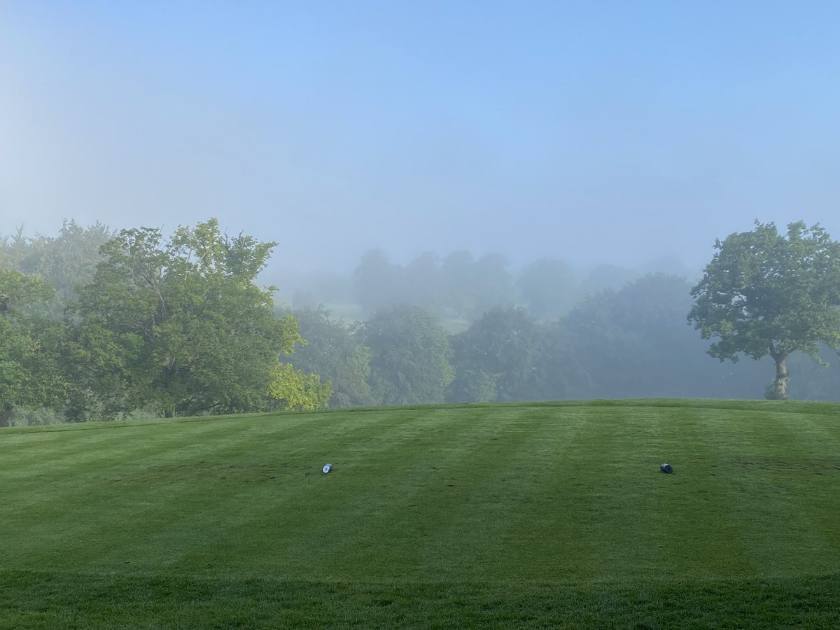 Redlibbets Greenstaff tweet media