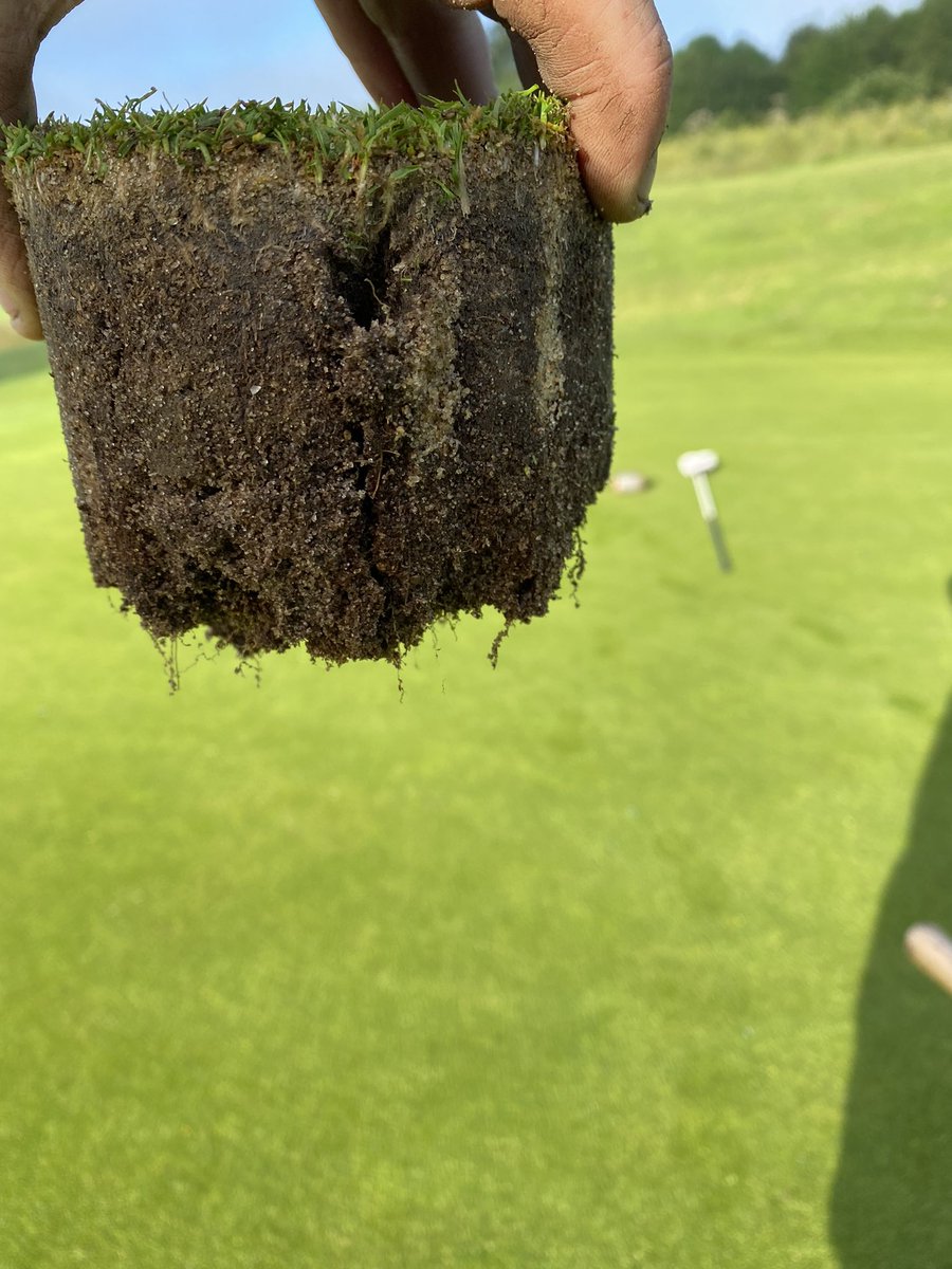 Redlibbets Greenstaff tweet media