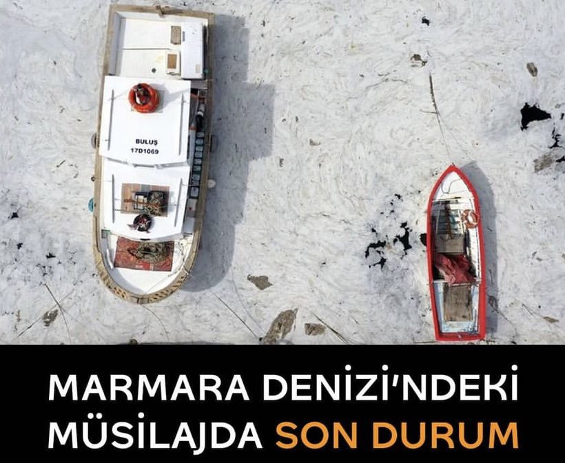 ALLAH’A HAVALE EDİYORUM BU GÜZELİM MARMARA DENİZİNİ BİTİRENLERİ .!
KAZANDIĞINIZ HER LOKMA ZEHİR ZIKKIM OLSUN ‼️‼️‼️