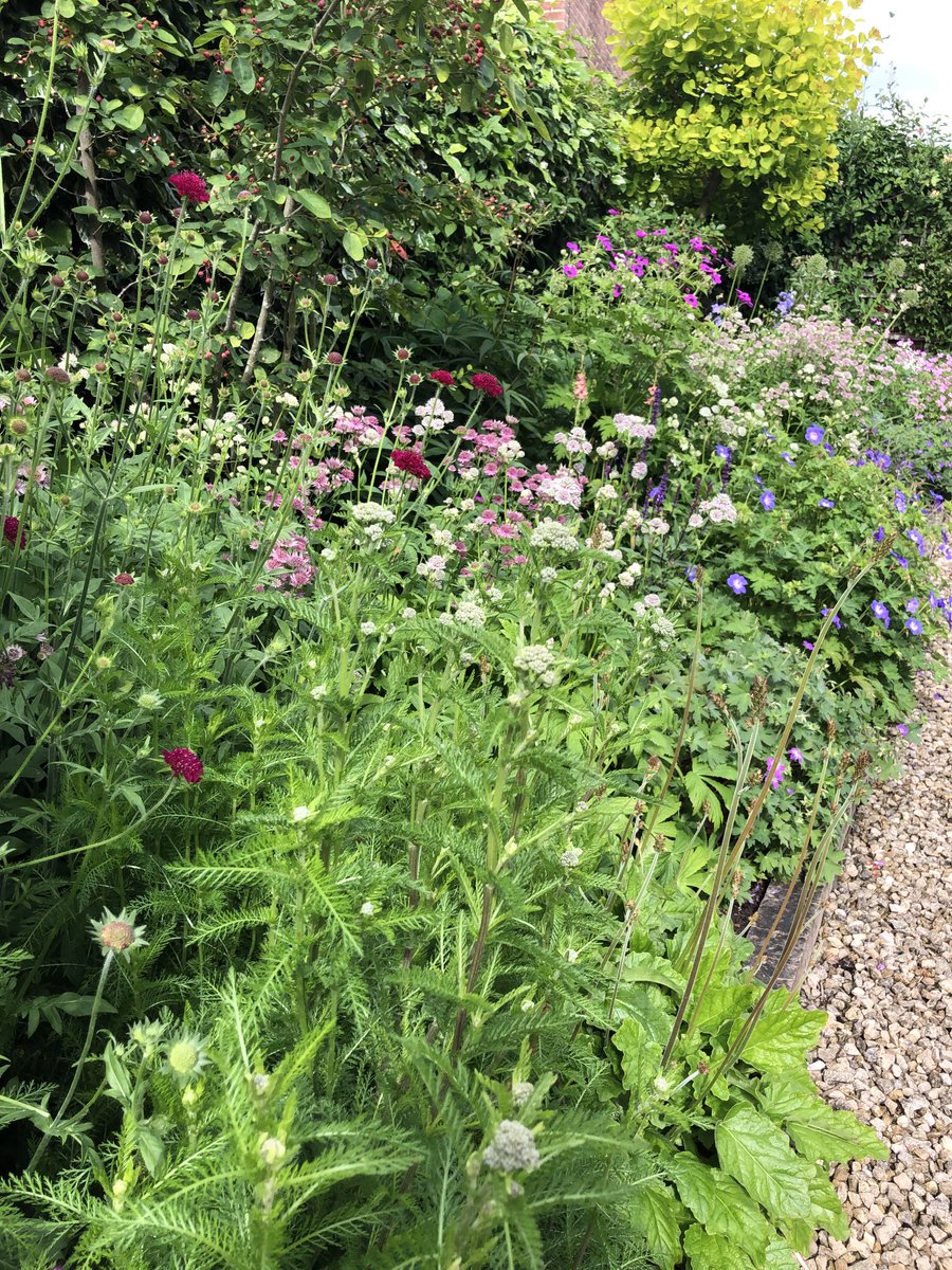 Janene Cox OBE tweet media