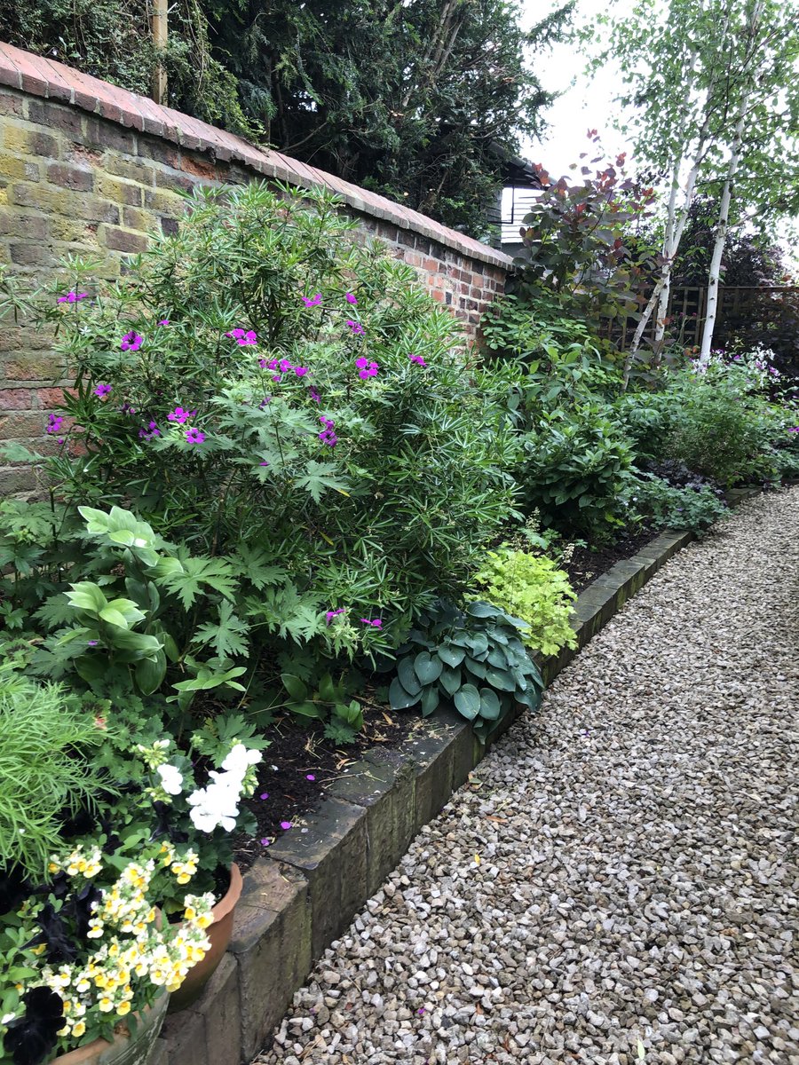 Janene Cox OBE tweet media