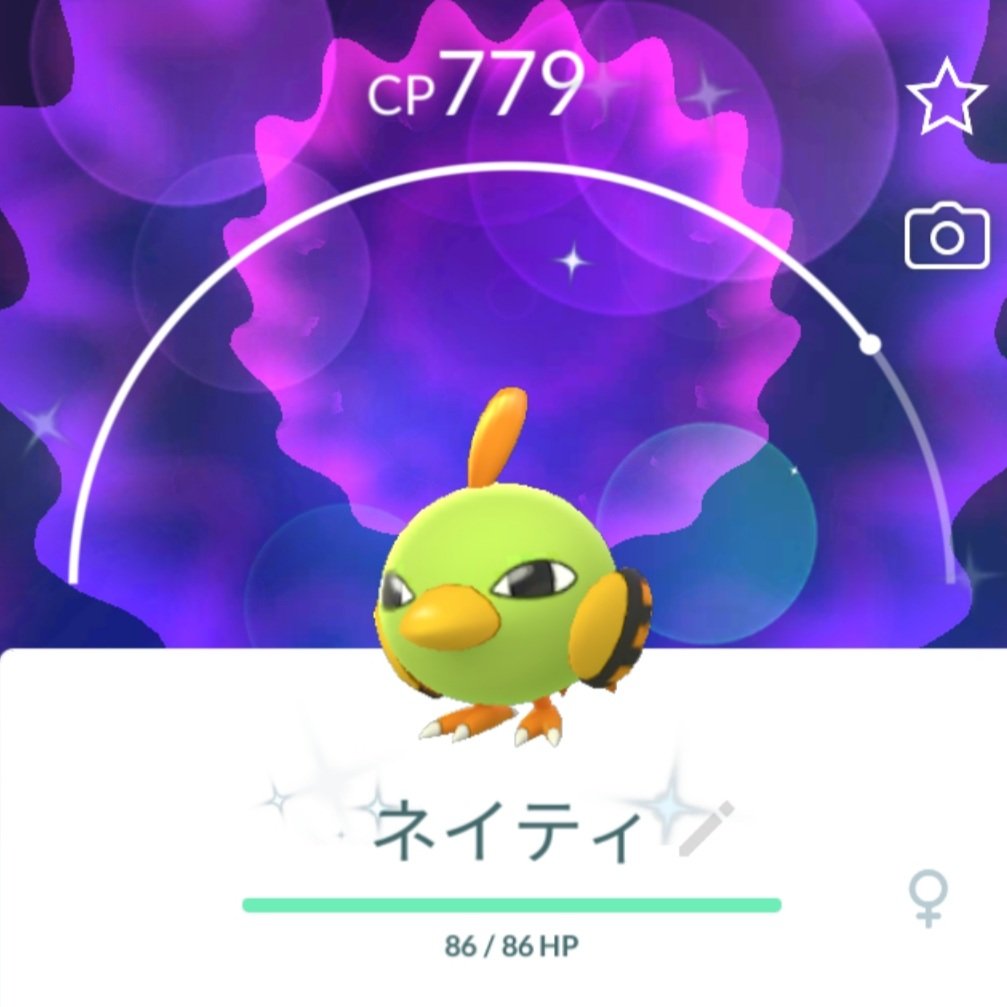 かず Pokelevo ๑ ๑ ネイティいろちがいつの間にかボックスにいた せっかくだからビッパ色違い欲しいな ポケモンgo T Co Rs3qeiio8c Twitter