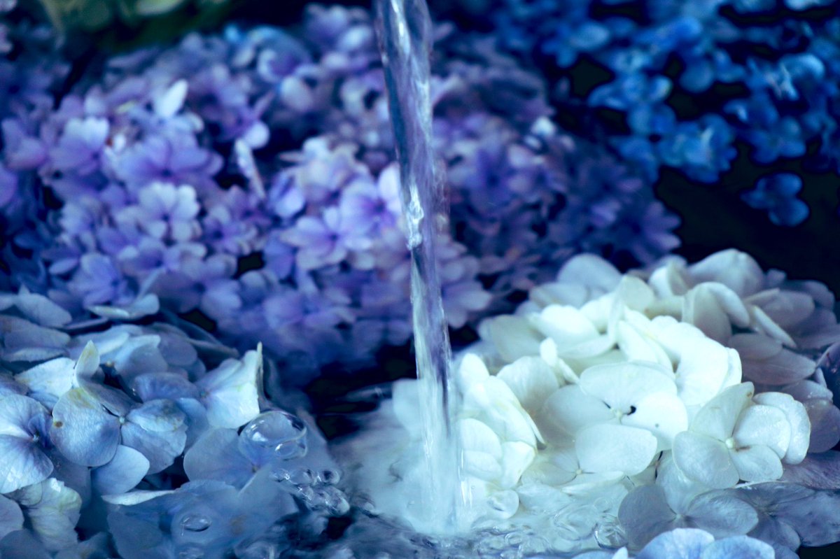 Linkerss Express Yourself To Profess Yourself