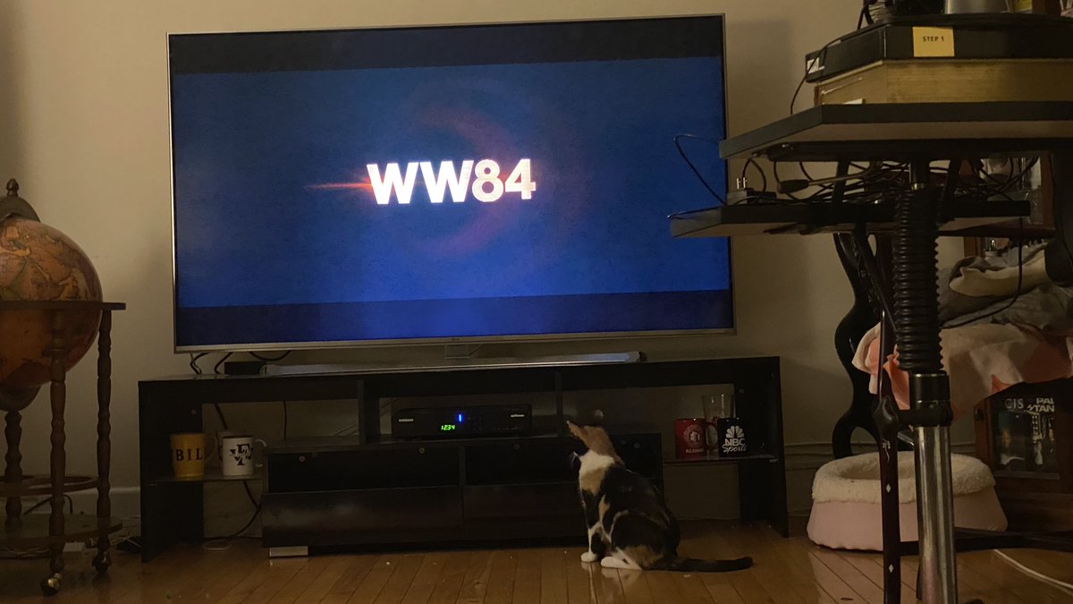 shefik_info's tweet image. My cat loves to watch the movie @WonderWomanFilm. Especially the action scenes with Cheetah! I wonder why? @GalGadot @HBO @hbomax #WhatDoYouWishFor #AnotherCat