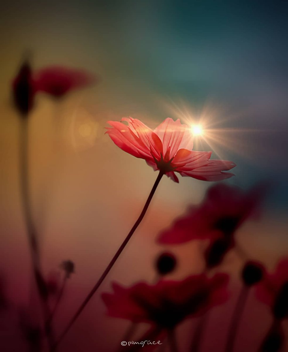 ....ДЕСЯТЬ СЛОВ НЕ СКАЗАНО У НАС ,
А КАК УЖЕ ЗНАКОМ МНЕ
   ЭТОТ ГОЛОС,ВЗГЛЯД,   
      ДВИЖЕНЬЕ МЫСЛИ
         НА  УСТАХ.