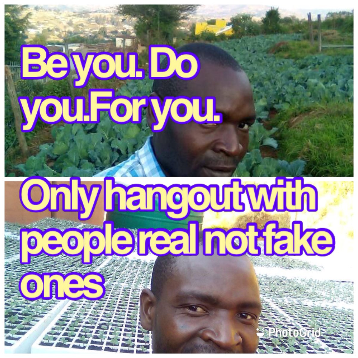 passionate farmer (@bidzabidza1) on Twitter photo 