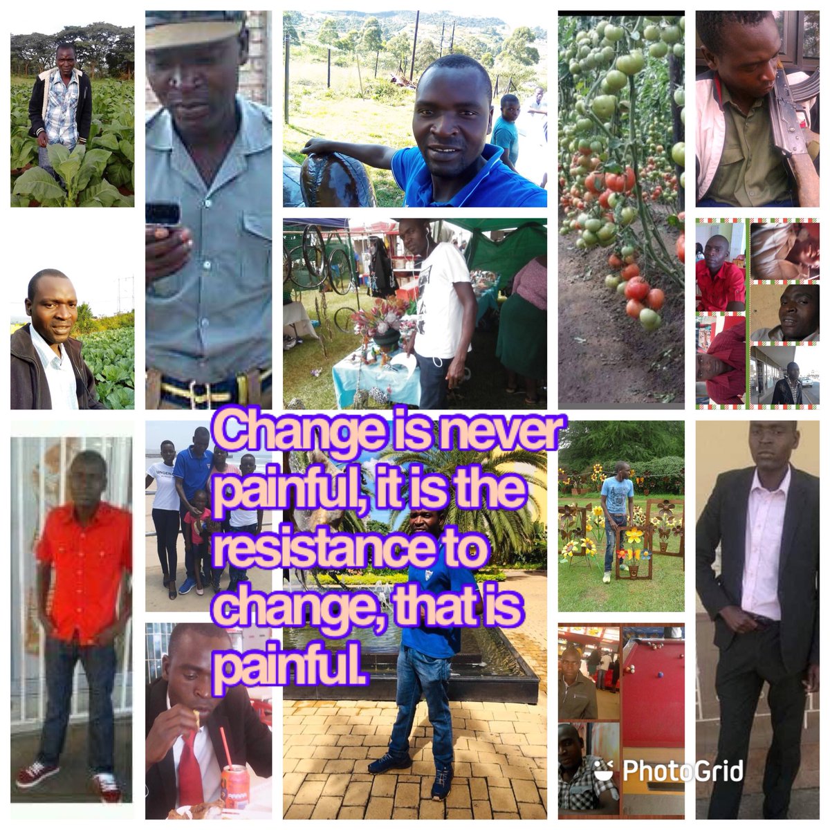 passionate farmer (@bidzabidza1) on Twitter photo 