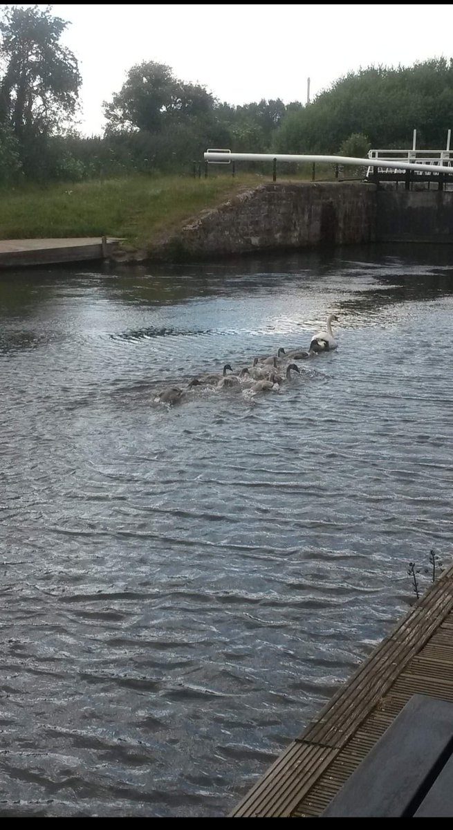 grecian10681068's tweet photo. Nature is just beautiful at times.
#exetercanal
#doublelockspub https://t.co/gPhFWZ1IW4