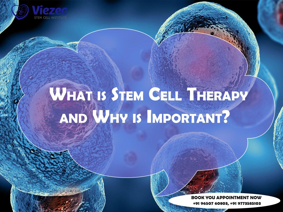 viezec's tweet photo. What Is Stem Cell Therapy And Why Is Important?
To know more about Stem Cell visit https://t.co/HaAtducjld or Call us at +91-9650760803 or write an email to info@viezec.com
#stemcellsfacts #Stemcells #future #health #facts #family #StemCellsForTheFuture https://t.co/k8vqIwkWoz