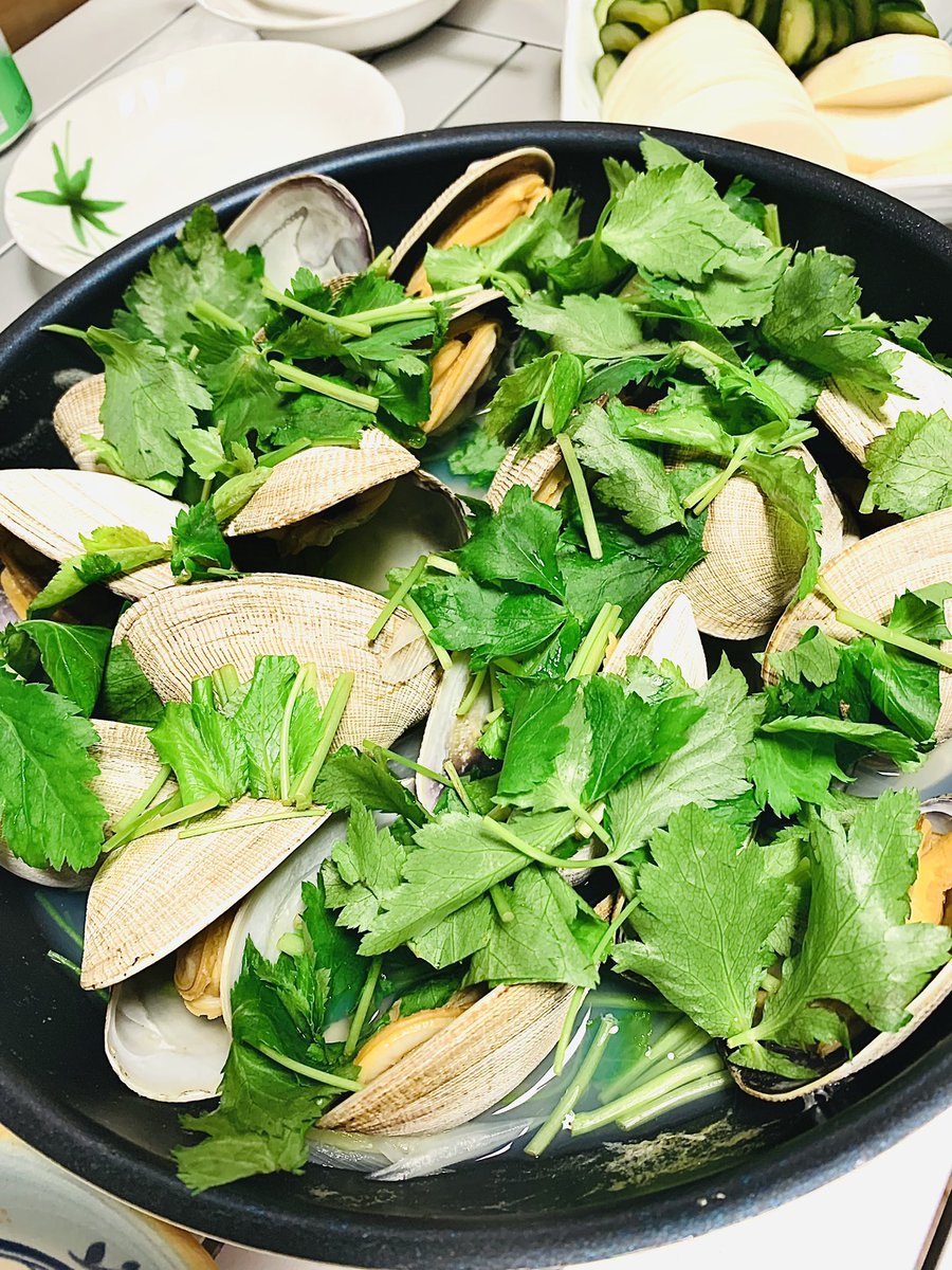 昨晩のサリィ…じゃなくアサリの酒蒸し。缶チューハイと比較した大きさ…もはやハマグリサイズw 味はかなり濃厚で弾力がスゴい‼  大きくてもアサリは美味かった😭 