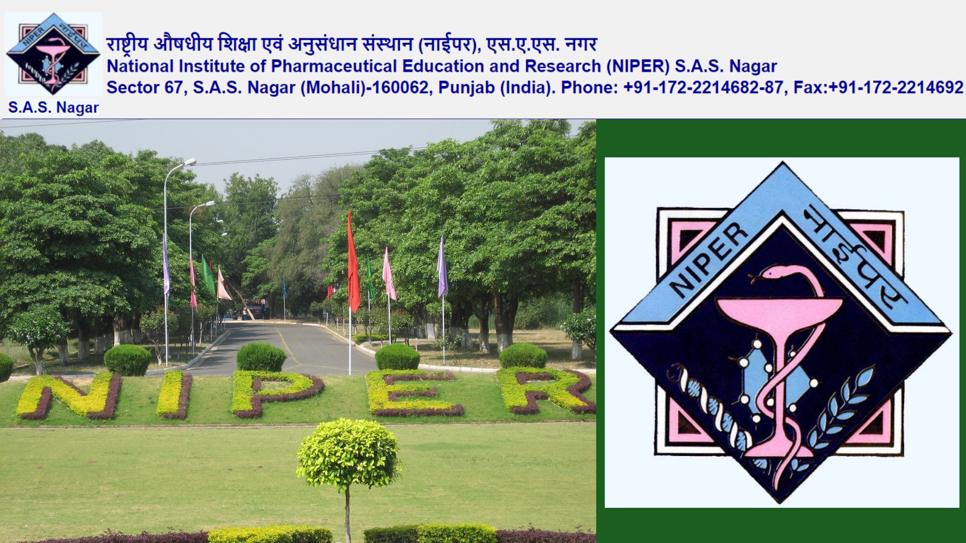 Assistant Professors (Regular) Position at NIPER, Mohali, Punjab, India