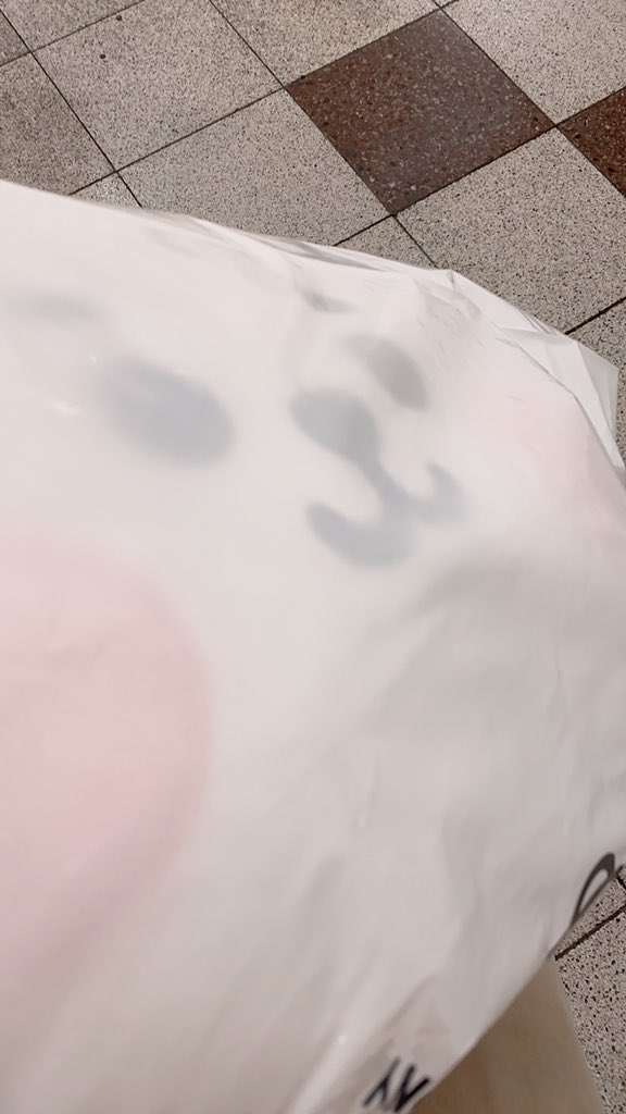 Meg_booon's tweet photo. お迎えしてしもた… https://t.co/Ju9oQf5VJB