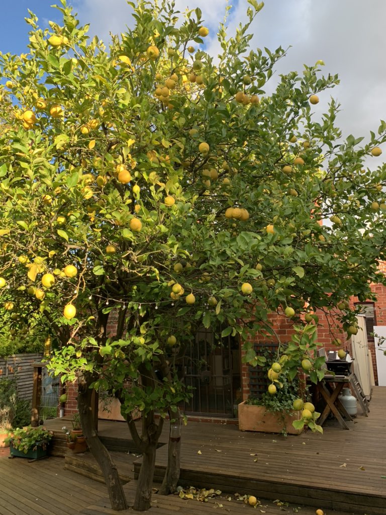 Ian Smyth tweet media