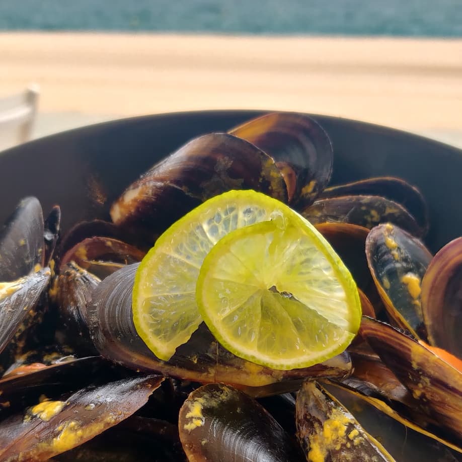vialliure's tweet photo. ��� I amb la #TertúliaDePatates, arriba també el sorteig d'un fantàstic àpat per a 2 persones al restaurant La Calma de Platja d’Aro

📲 Per optar-hi, només heu de fer RT d'aquesta piulada des d'ara i fins les 8 del matí. Molta sort a tothom! https://t.co/EPLYBZRwC2