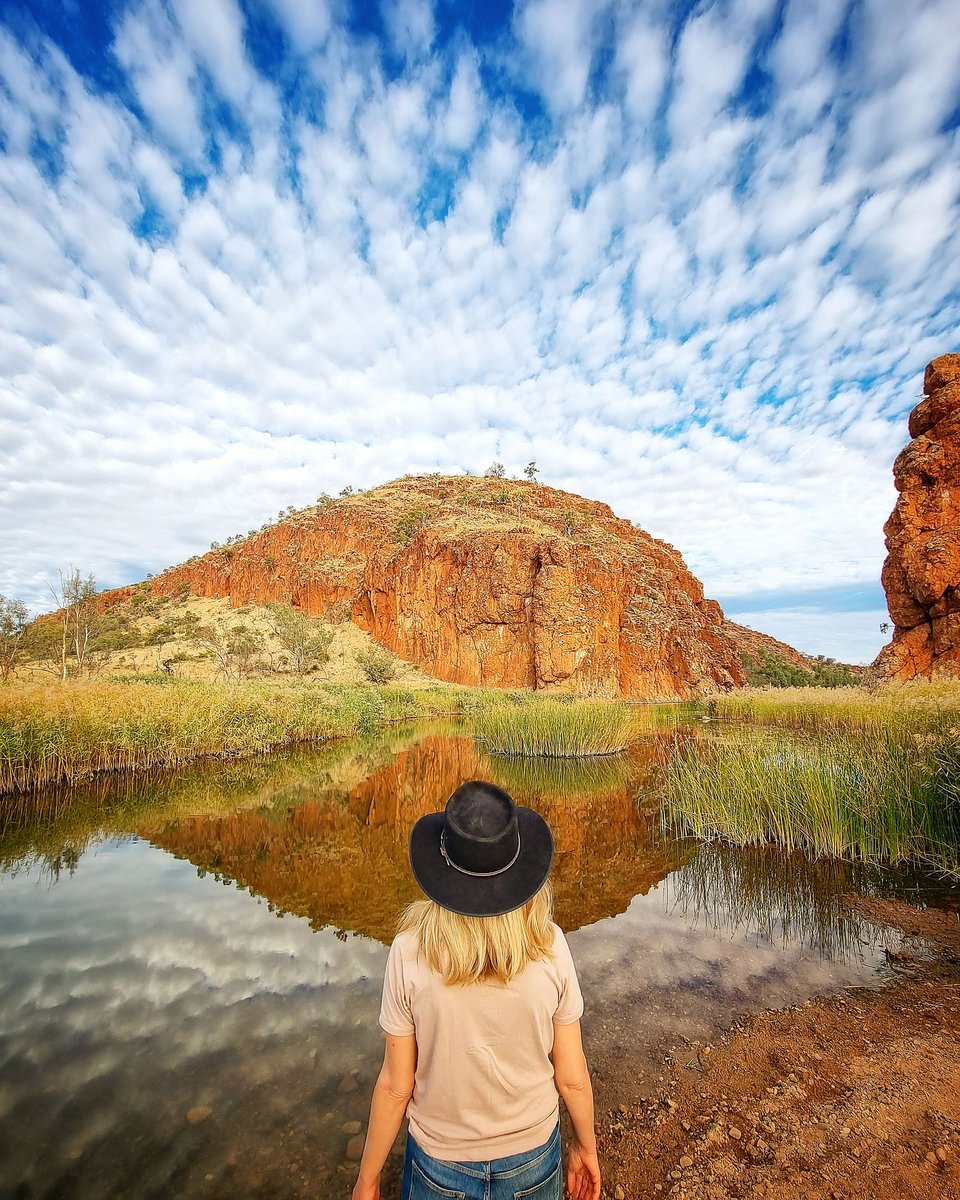 How beautiful is Glen Helen Gorge? We visited this special waterhole on our recent adventures in Tjoritja-West MacDonnell National Park. There's no swimming allowed here but it's a wonderful place to sit quietly and enjoy. 

#glenhelen #alicesprings #ntaustralia #seeaustralia