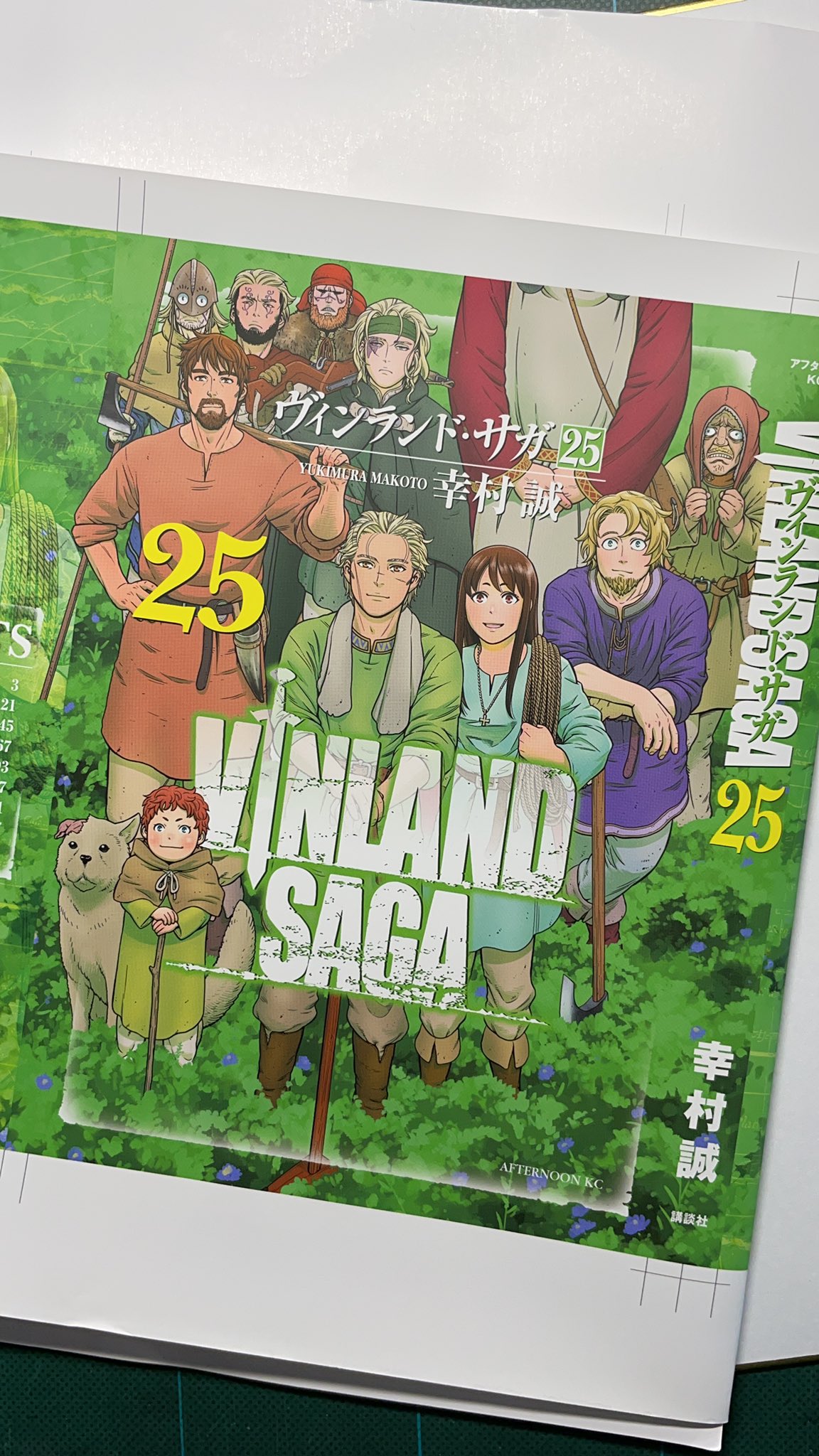 幸村誠 単行本25巻の表紙ができた ヴィンランド サガ25巻 7月21日発売でございます 宇宙でいちばん面白い漫画でございます ボク調べ どうぞよろしく どうぞよろしくお願いします トルフィンももう26歳かぁ ずいぶん変わったなぁ 顔も内面も