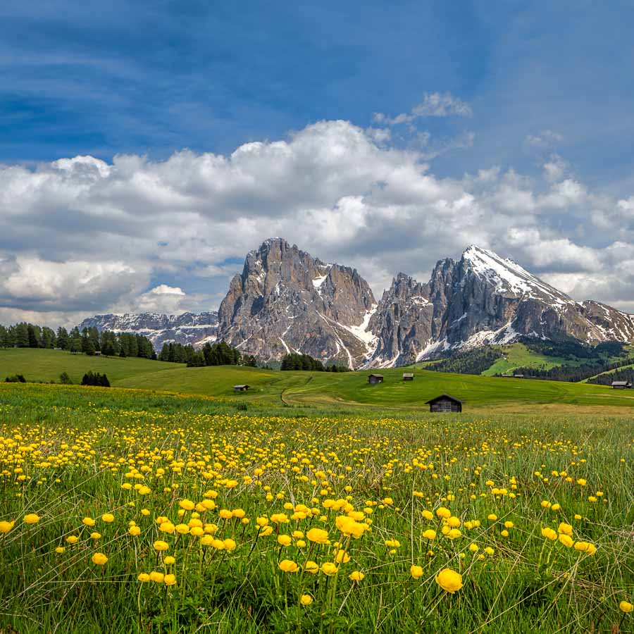 Teun_Photo's tweet photo. https://t.co/CB0rycj9c6 via @werkaandemuur 

#Italy #dolomites #wadm #ohmyprints #seiseralm #SonyAlpha #a7Riv #mc11 #canontse24II #springtime #Italia #Italien https://t.co/8KdptYhRg1