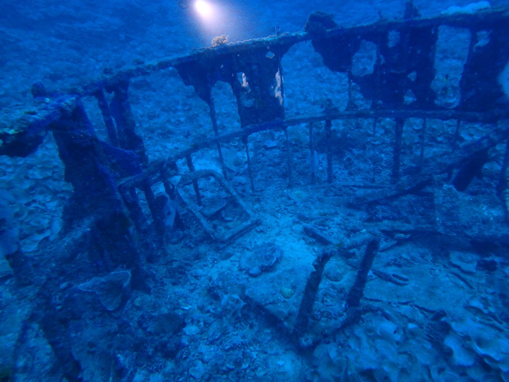 海猿 画像 最新情報まとめ みんなの評価 レビューが見れる ナウティスモーション 2ページ目