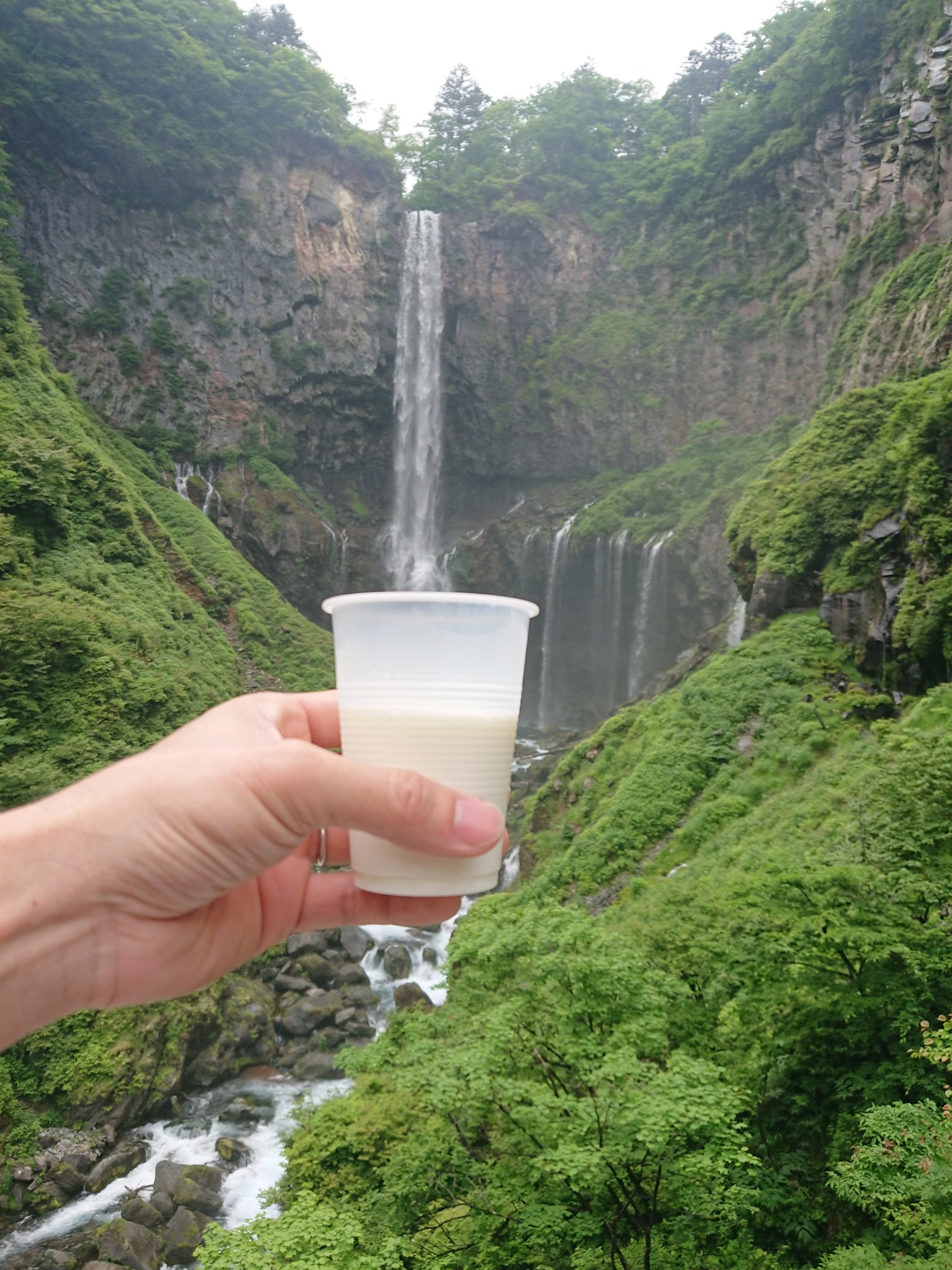 ぽこちゃん 1y0m Auf Twitter 牛乳無双状態 いま華厳滝では高原牧場牛乳が飲み放題ですよ 日光 華厳滝 牛乳 旅行好きと繋がりたい T Co Mii8udtrcj Twitter