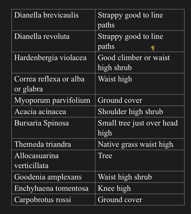 ProjReimaginate's tweet image. Getting ready to fill our outdoor classroom with native plants from State Flora nursery. 

#ProjReimaginate