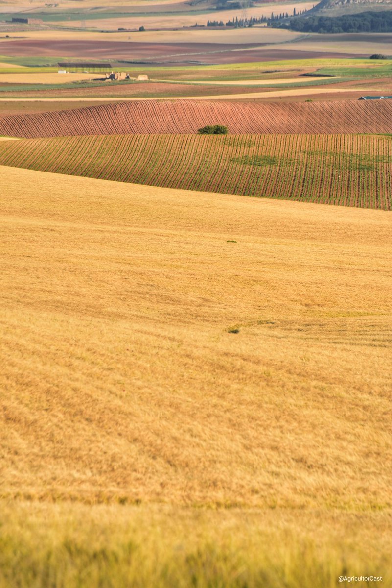 Otoño, invierno, primavera y verano en Castilla.
