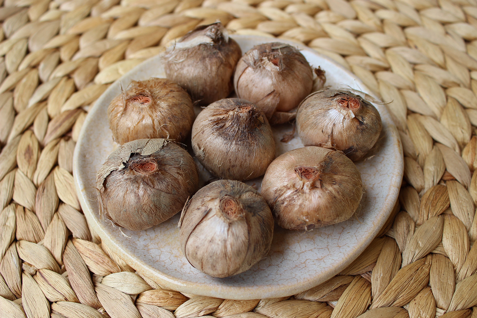 薬食さふらん堂 サフランの球根 始まりました 水 土 日光も不要 秋ごろに芽が出始め 11月くらいに花が咲きます 赤いめしべを乾燥させると 薬にもスパイスにもなるんですよ サフランライスやパエリアなどにどうぞ プレゼントにもオススメです