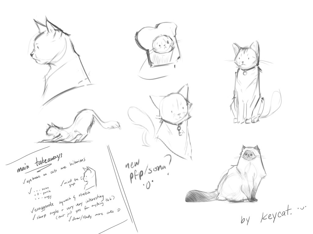 drawin some cats ^-^ 