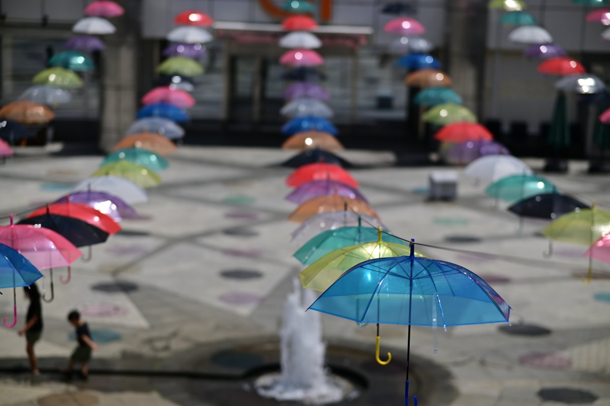 kikuling's tweet photo. 晴れの日の傘
＃傘カラー
＃傘アート
#NikonZ6
#Viltrox85
#Umbrella https://t.co/67SJBKnTXi