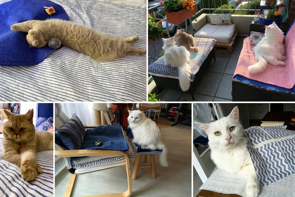 Teodeco's tweet photo. Gebloggt: Sonnabend, 26.06.2021 https://t.co/6BfuKpsRO1 #blog2021 https://t.co/I4TqXI92qF