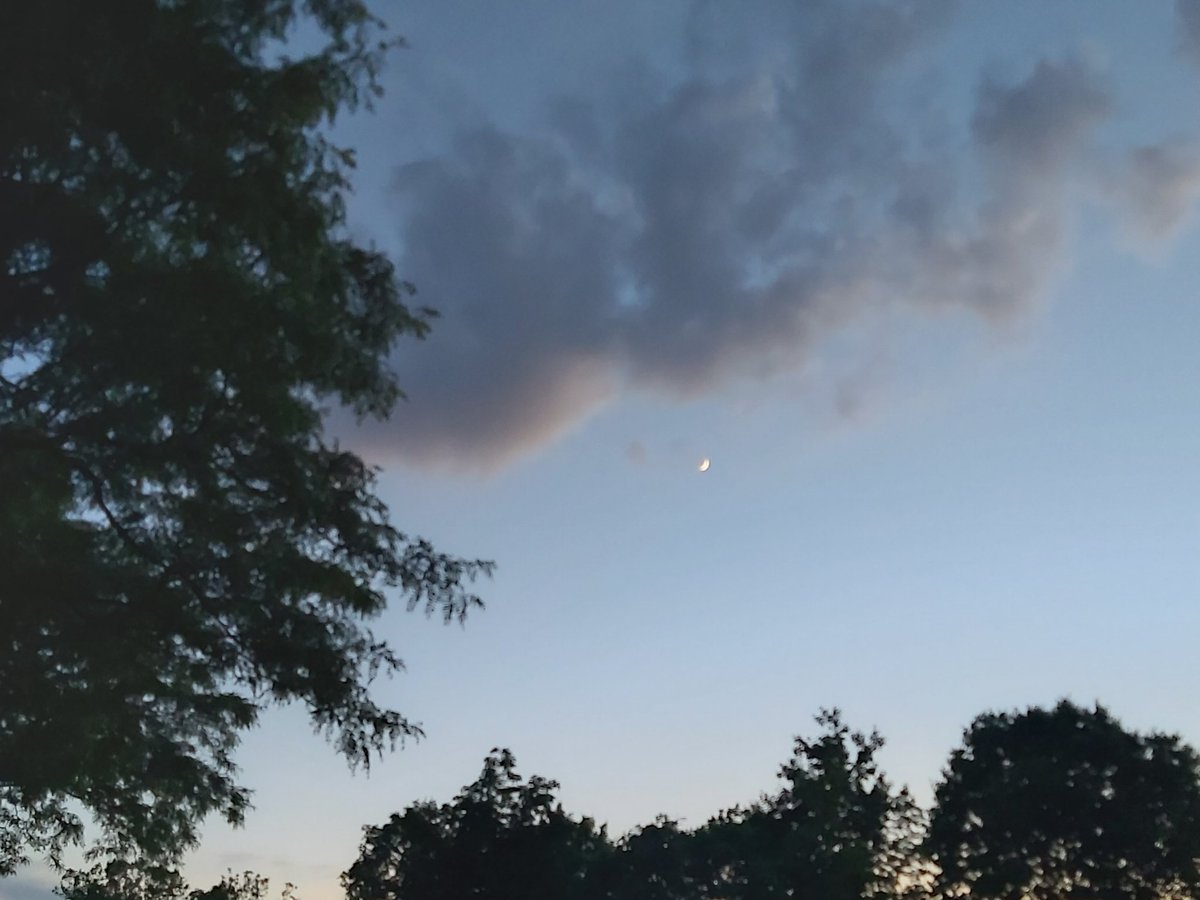 Blue_b22's tweet photo. ☁️ 🌒 🌓 🌔 🌕 🌖 🌗 🌘 ☁️ https://t.co/WRobo0hCPt