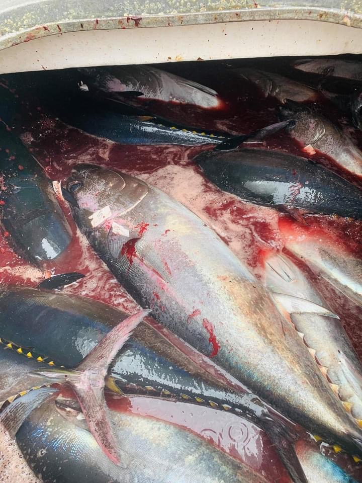 Davey's Locker tweet media