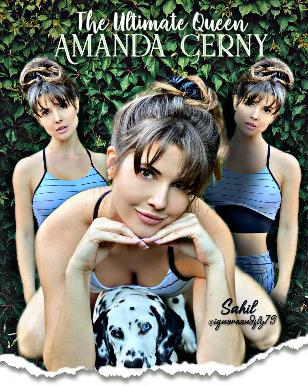 Cerny poster amanda