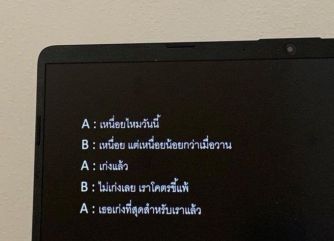✳︎ tweet media