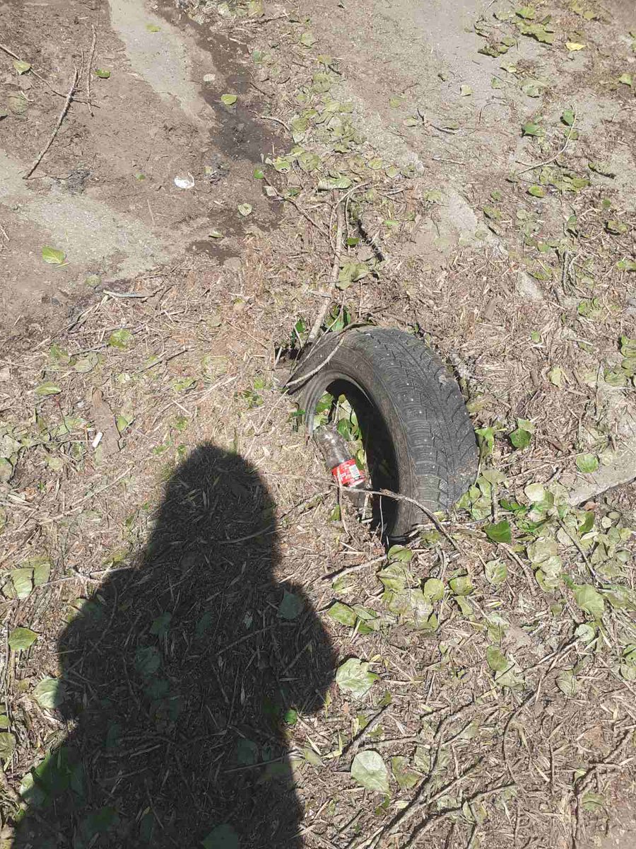 Житель063 tweet media