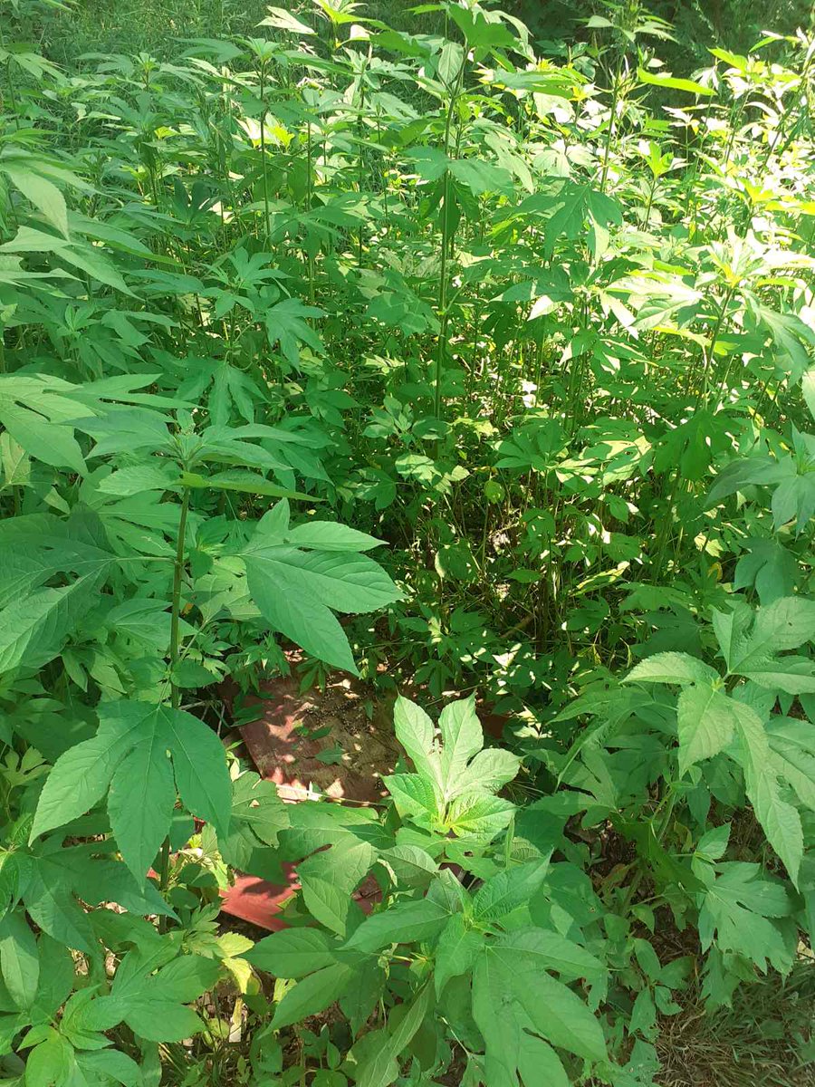 Житель063 tweet media