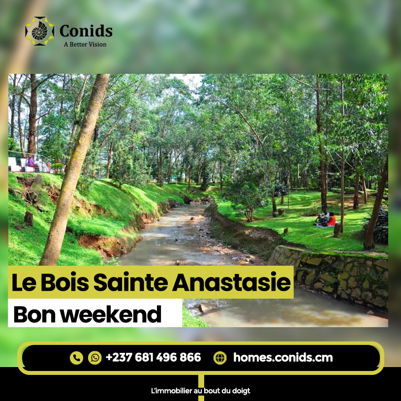 conids_sarl's tweet photo. #DecouvronsLeCameroun nous amène ce matin dans le Bois Sainte Anastasie.
Cet espace clos et gardé accueille en moyenne 150 visiteurs par jour, plus particulièrement le week-end. 
#LeBoisSainteAnastasie #visite #decouverte #reservation #picnic #hotel #restaurant #yaounde #cameroun https://t.co/DKBfowSgdP