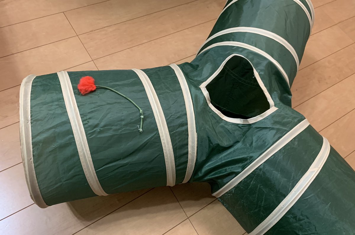 猫トンネル本体に付帯した紐付きボールが目の前で愛猫の首に絡まり危機一髪 事なきを得るも類似の事故報告が次々と Togetter 猫トンネル本体に付帯した紐付きボールが目の前で愛猫の首に絡まり危機一髪 事なきを得るも類似の事故報告が次々と Togetter
