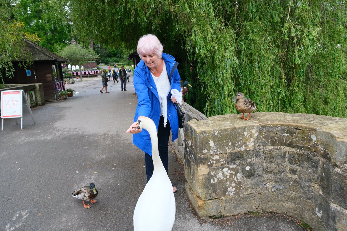 ian_hulf's tweet photo. Surrounded by scenic countryside, Where bygone treasures lay await inside. Whilst ducks and swans queue for a treat, With amazing views from any seat. #IansOriginalView #Heaver Castle #SevenoaksKent #FrontLineWorkersCare https://t.co/RftjCU3IjA