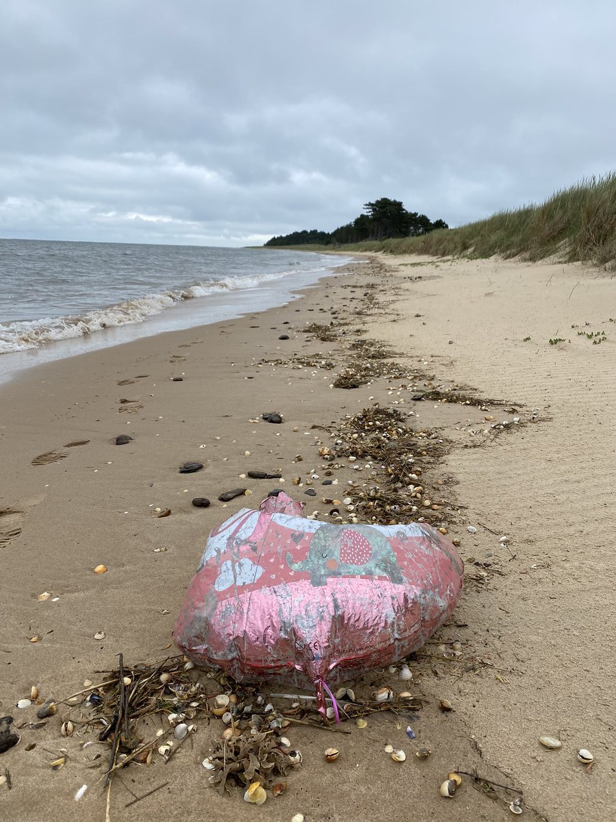AshBanwell's tweet photo. Time for a balloon rant, I’ve already picked up half a dozen with easily the same number I’ve left to pick up on my way back, the North Sea must be full of them. https://t.co/gFSrToapoc