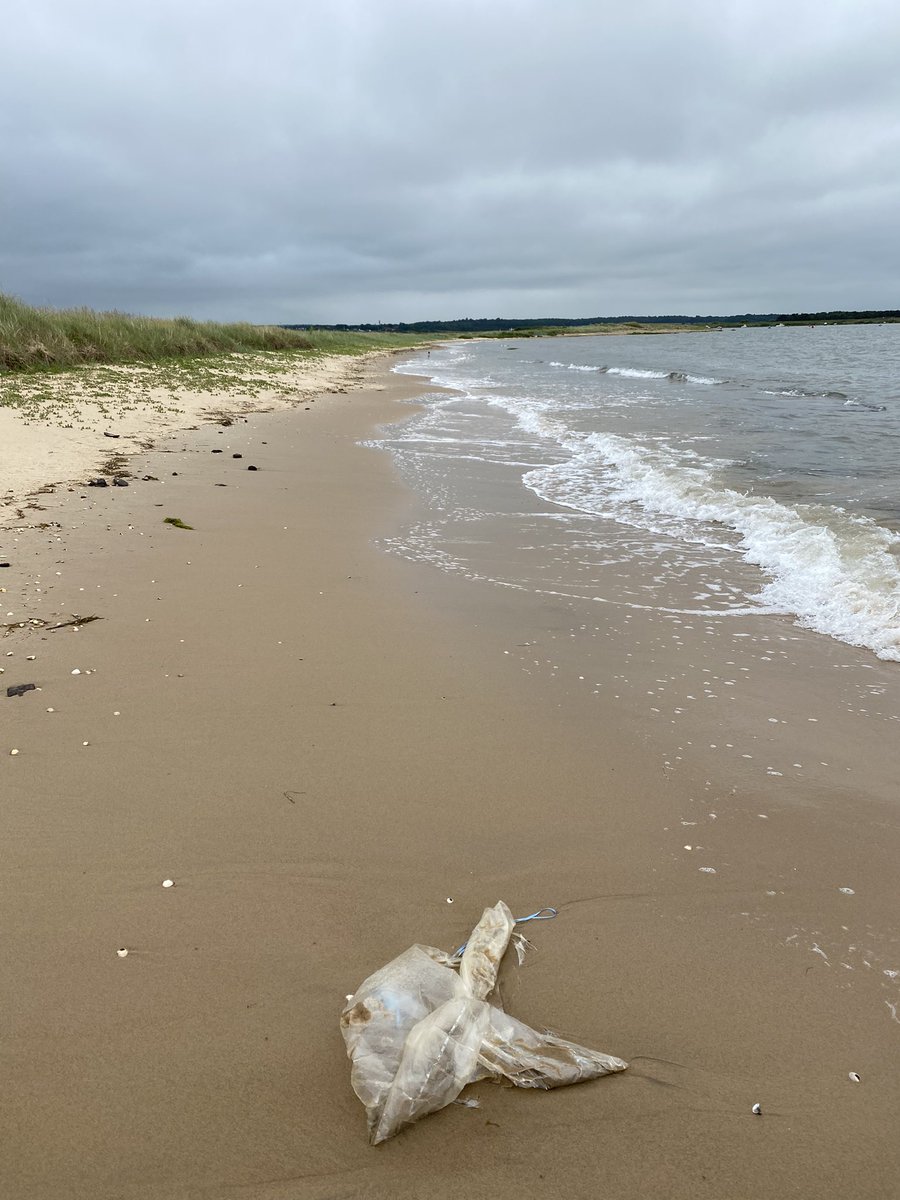 AshBanwell's tweet photo. Time for a balloon rant, I’ve already picked up half a dozen with easily the same number I’ve left to pick up on my way back, the North Sea must be full of them. https://t.co/gFSrToapoc