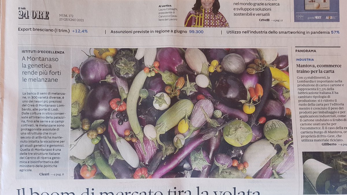 Giuseppe Leonardo Rotino tweet media