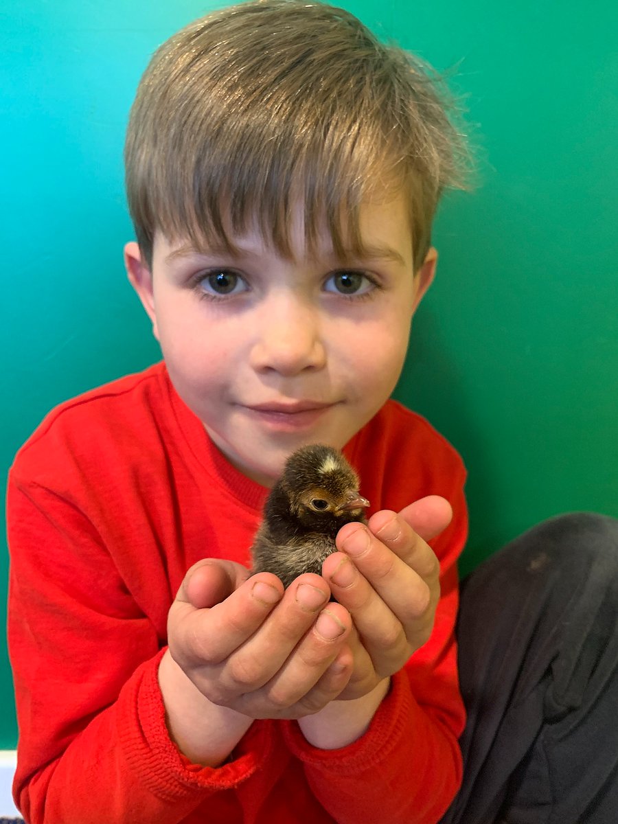 BEESUK_'s tweet photo. Education We believe that social &amp; emotional well-being should be the foundations we build from. The vision is to see this become an educational priority from early years through to school leavers @SocialEnt_UK @smallcharities @BBCSpotlight https://t.co/vynutUXzrj https://t.co/2cwY4SSgS7