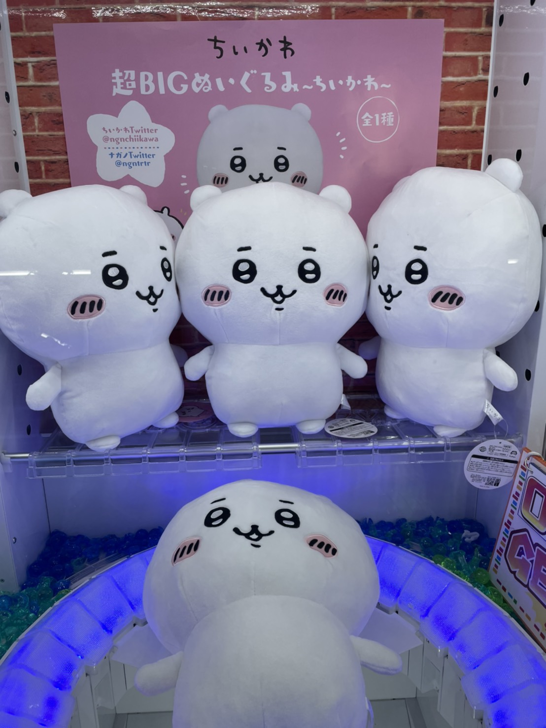 森の雑貨屋さん 【初期☆レア】ちいかわ ハチワレ うさぎ big