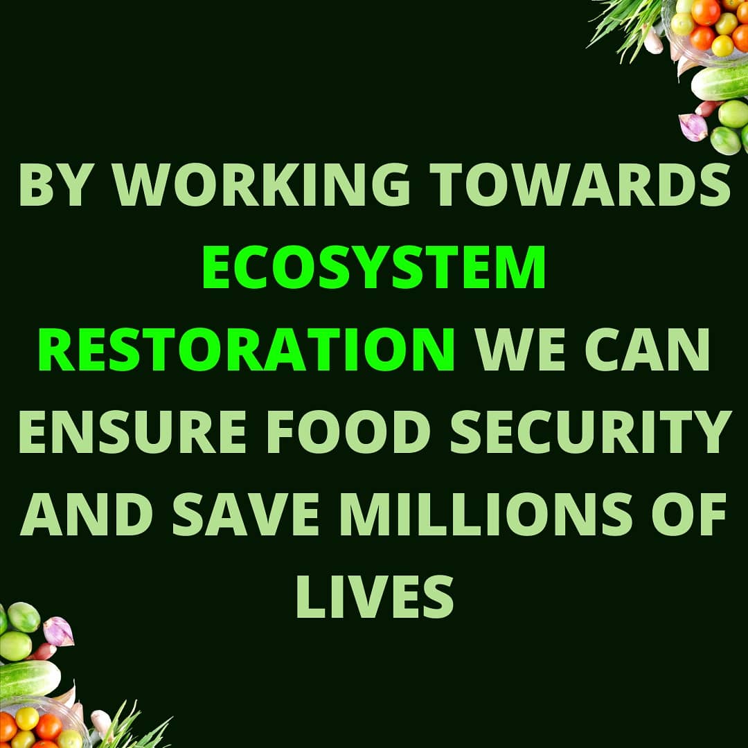 strathenviron's tweet photo. Roughly 9 million people die each year due to hunger-related causes. 
Let's take steps towards #foodsecurity by striving to restore damaged ecosystems and cultivating sustainable agro-ecological practices.
#sustainability #generationrestoration https://t.co/SjN1n4Ld1v