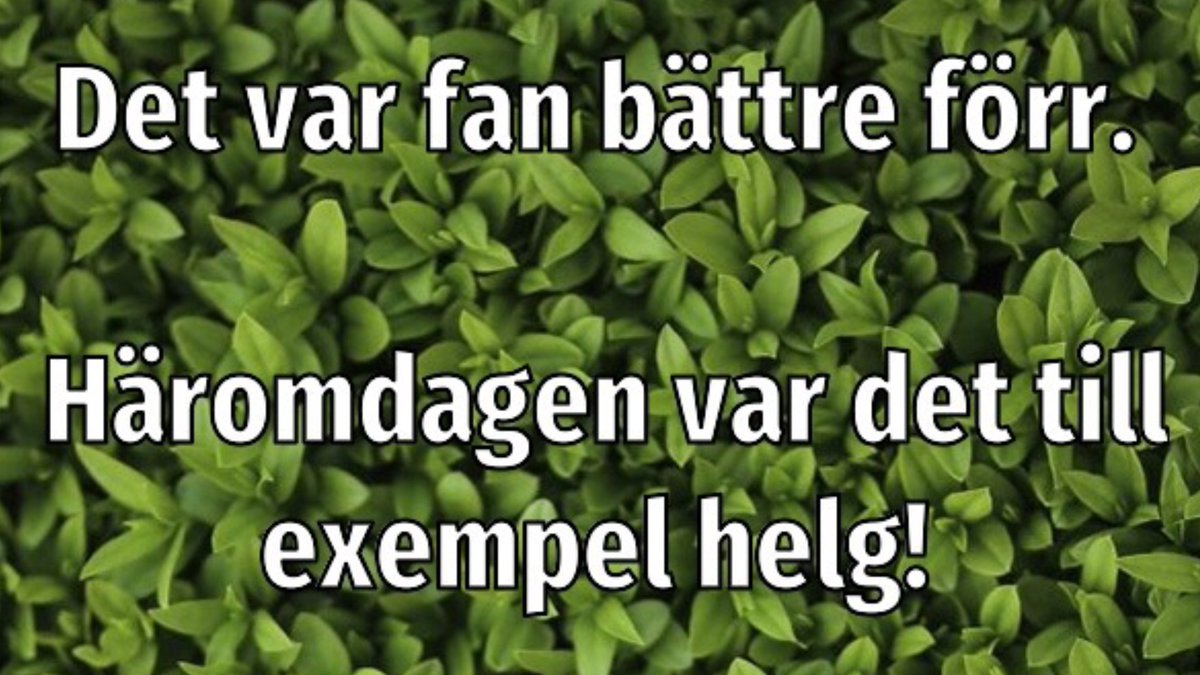 Emijep1's tweet photo. Man längtar tbx redan ifrån gårdagen
#midsommar2021 #MIDSOMMAR #bakfull #sommar
#morgon @Gustav_Adolf_3 @thereseverdun https://t.co/HHAHvCgitk