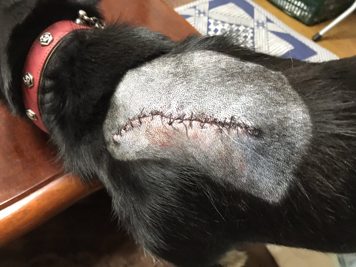 朝日楼 Sakurarosemoon Twitter