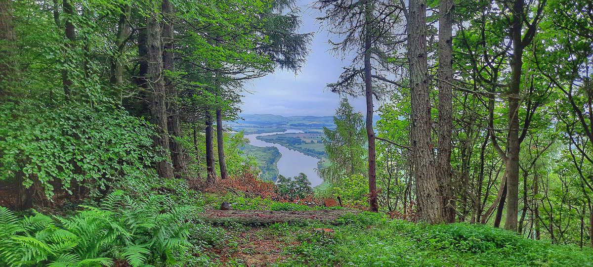 J0hnCassidy's tweet photo. A most wonderful natural frame is now on display on the path to the Tower at Kinnoull Hill...
#getootside https://t.co/jnedRY0TvB