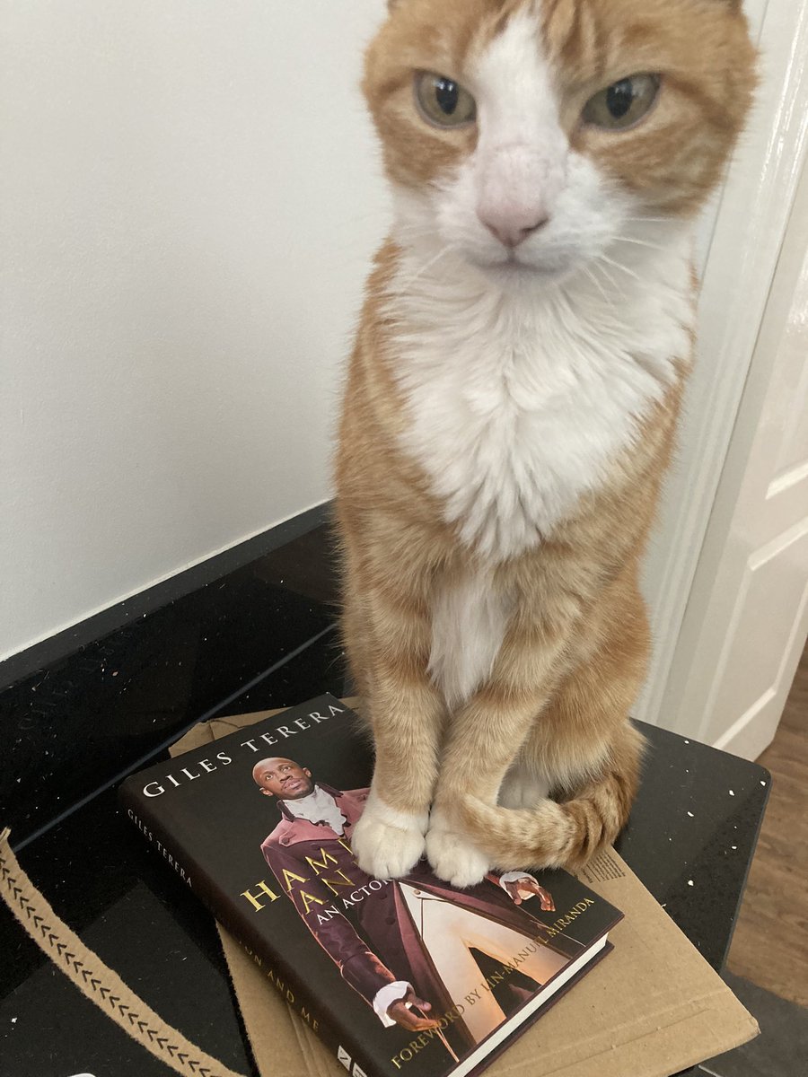 I would read my brand new book #Hamiltonandme by my friend @GilesTerera but the cat seems to want to read it first 🤷🏻‍♂️🐈#cantwait