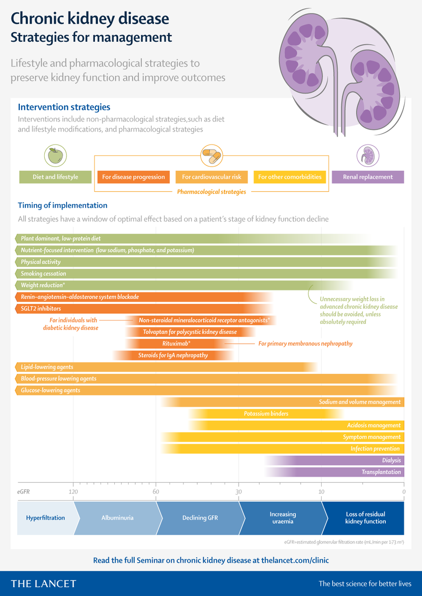 TheLancet's tweet photo. By 2040, chronic kidney disease is estimated to become the fifth leading cause of death globally. In this Seminar, @kamkalantar et al. provide an overview of strategies to preserve kidney function and improve patient outcomes. Read: https://t.co/DCoL2GCzfB https://t.co/vk7hdpZWYM