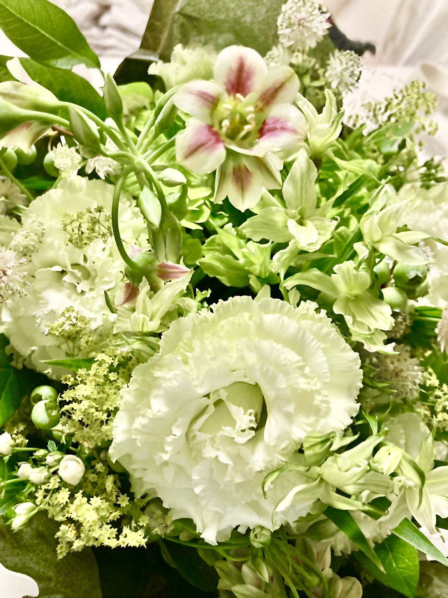 専用　ポット発送　1025 【❤️極上❤️チビチビ❤️蜃気楼】クリスマスローズ XEX ATAGO GREEN HILLSさんの 【秋のランチブッフェ🍁】にご招待